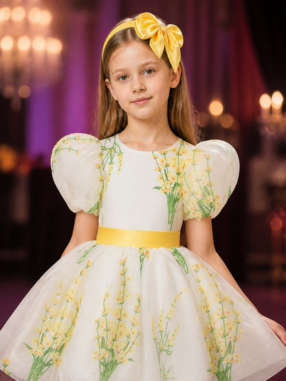 Baby Girls' Floral Princess Dress with Puff Sleeves and Bow Waist on-model view