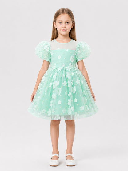 Mint Princess Dress for Girls with a Tulle Skirt on-model view