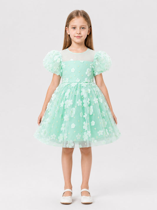 Mint Princess Dress for Girls with a Tulle Skirt on-model view