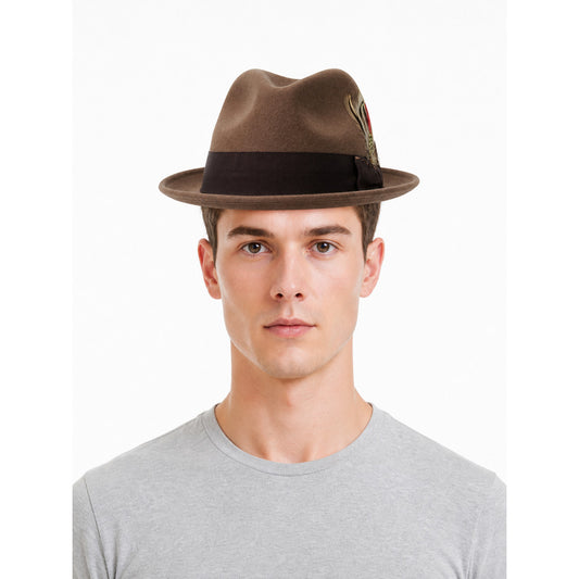 Carnival Fedora Hat with Feather and Wide Brim