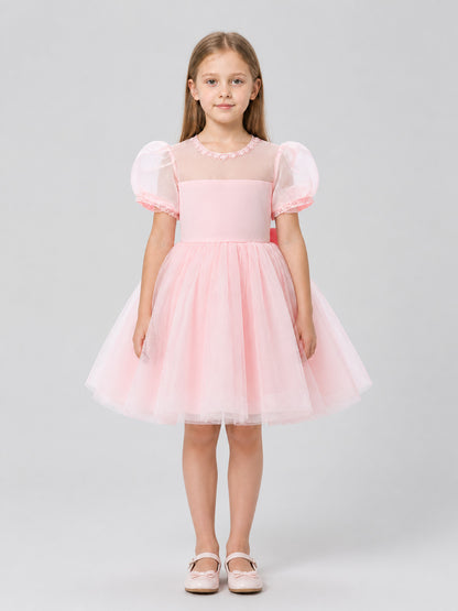 Pink Lace Princess Dress with Full Skirt on-model view