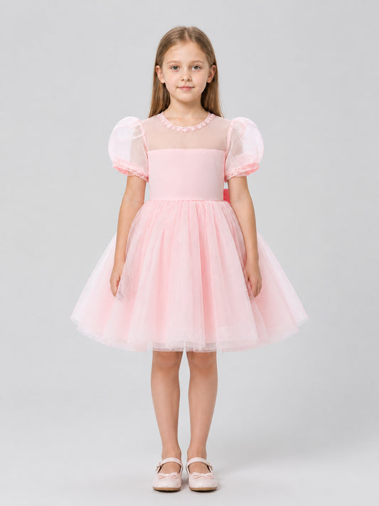 Pink Lace Princess Dress with Full Skirt on-model view