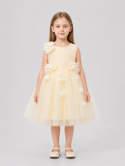 Full Skirt Dress with Floral Decoration for Performances