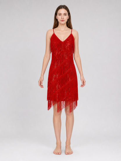 1920s-Style Fringed Dress Costume Set front view