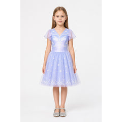 Elsa Cosplay Dress, Blue, Full Skirt, Mesh