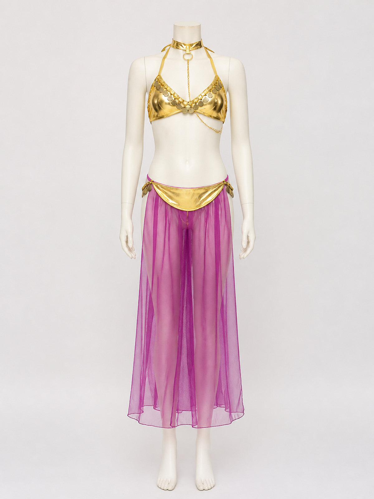 Adult Egyptian Queen Two-Piece Costume, Purple Sheer Skirt and Gold-Decorated on-model view