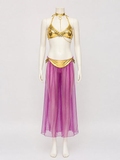Adult Egyptian Queen Two-Piece Costume, Purple Sheer Skirt and Gold-Decorated on-model view
