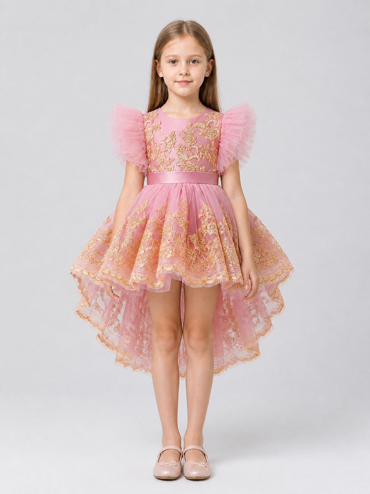 Elegant Full-Skirt Dress with Embroidery and Train for Performances on-model view