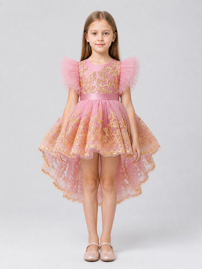 Elegant Full-Skirt Dress with Embroidery and Train for Performances on-model view