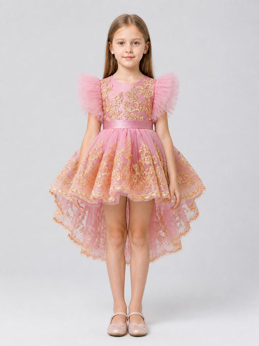 Elegant Full-Skirt Dress with Embroidery and Train for Performances on-model view
