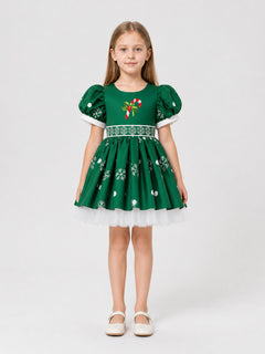 Children’s New Year’s dress with snowflakes and a full skirt