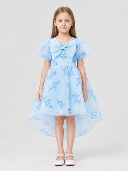 Fancy Dress with Light Blue Floral Print and Bow on-model view
