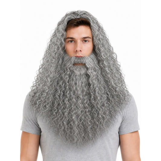 Carnival Wig with Beard for a Wizard Costume