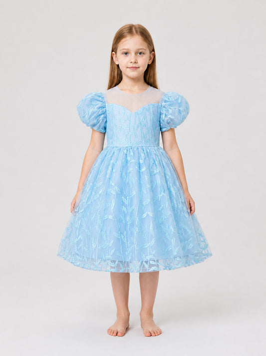 Embroidered Tutu Dress for Birthdays and Performances on-model view