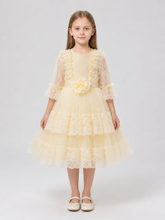 Festive Dress with a Full Tulle Skirt and Lace