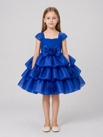 Full Dress with Roses and Bow, Blue on-model view