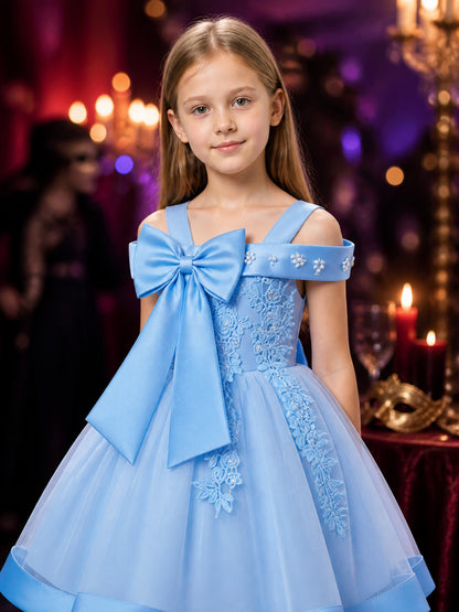 Baby Girls' Sky Blue Princess Dress with Beaded Floral Embroidery and Tulle on-model view