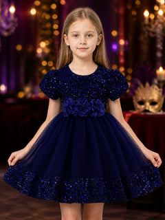 Baby Girls' Princess Dress, Sequined Tulle Puff Sleeve 3D Flower Party Gown