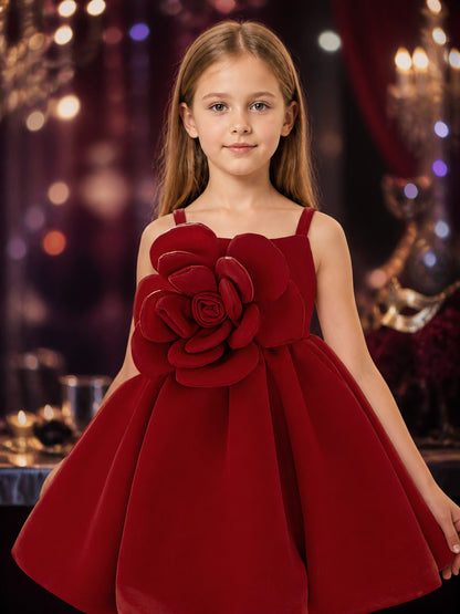 Girls' Burgundy Princess Dress, Sleeveless Layered Rose Flower Party Outfit on-model view