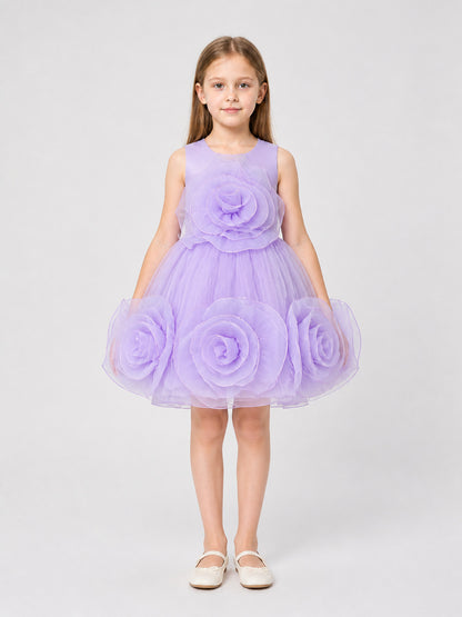 Children's Puffy Tulle Dress with 3D Flowers on-model view