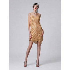 1920s Fringe and Sequin Dress
