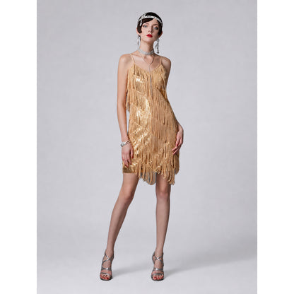 1920s Fringe and Sequin Dress on-model view
