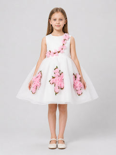 Children's organza dress with a full skirt and flowers