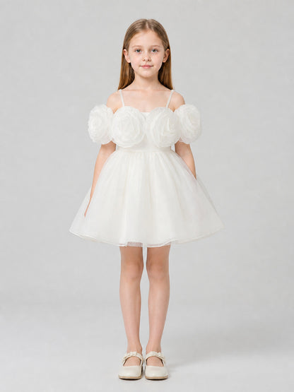 Princess Dress with Rose and Full Skirt for Performances on-model view