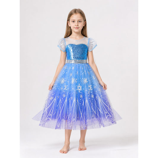 Princess Halloween and Cosplay Costume main product view