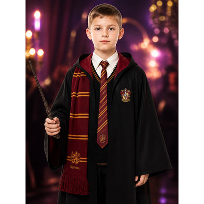 Hooded Wizard Robe Costume Set With School Crest, Tie, Scarf, Vest And Wand on-model view
