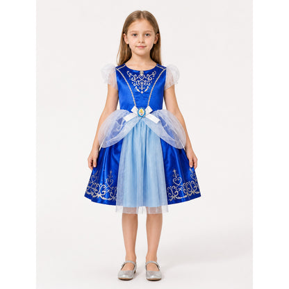 Blue Princess Costume with Silver Pattern main product view