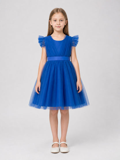 Full Blue Princess Dress with a Mesh Skirt and Ruffles on-model view
