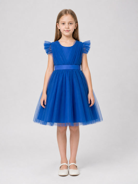 Full Blue Princess Dress with a Mesh Skirt and Ruffles on-model view
