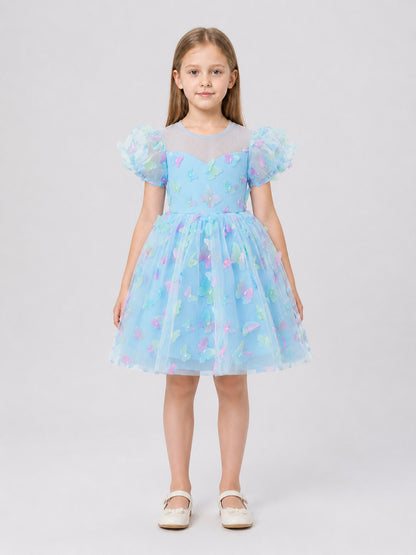 Children’s Princess Dress with a Full Skirt and Butterflies on-model view
