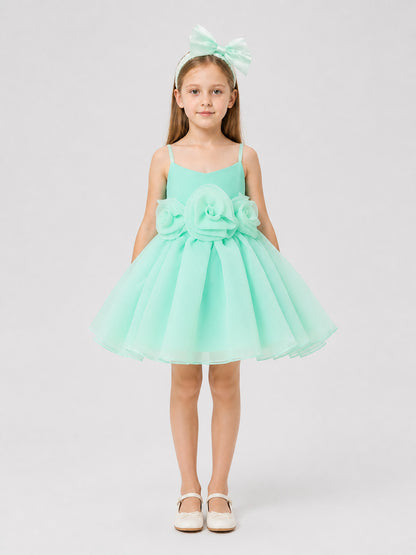 Short, Elegant Mint Dress with Roses and a Full Skirt on-model view