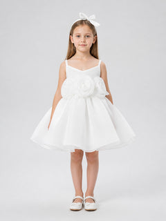 Festive Princess Dress with Full Skirt