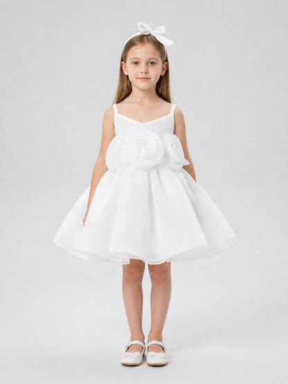 Festive Princess Dress with Full Skirt on-model view