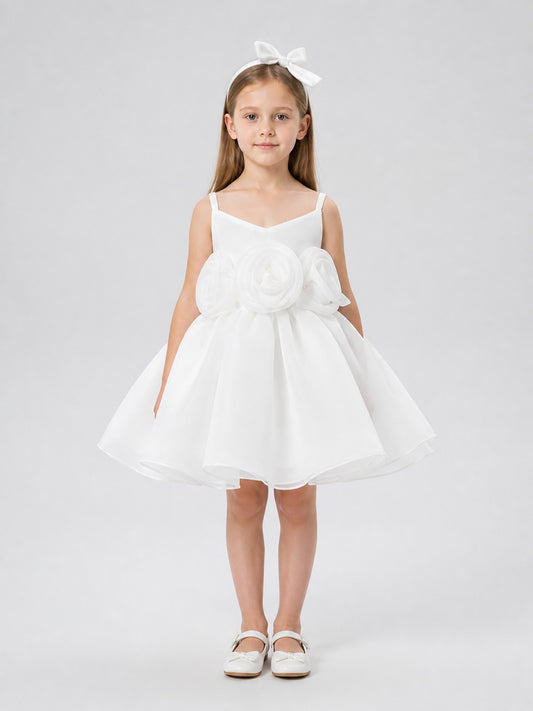 Festive Princess Dress with Full Skirt on-model view