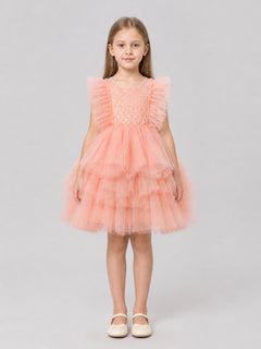 Lace and Tulle Princess Dress for a Birthday