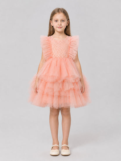 Lace and Tulle Princess Dress for a Birthday