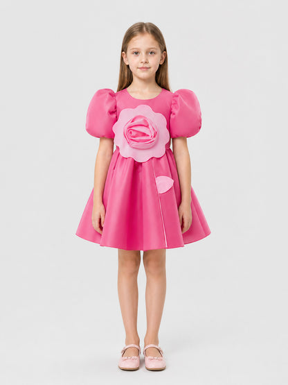 Pink Princess Dress with a Full Skirt and Roses