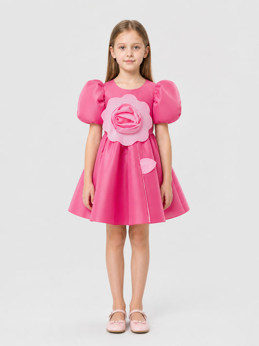 Pink Princess Dress with a Full Skirt and Roses on-model view
