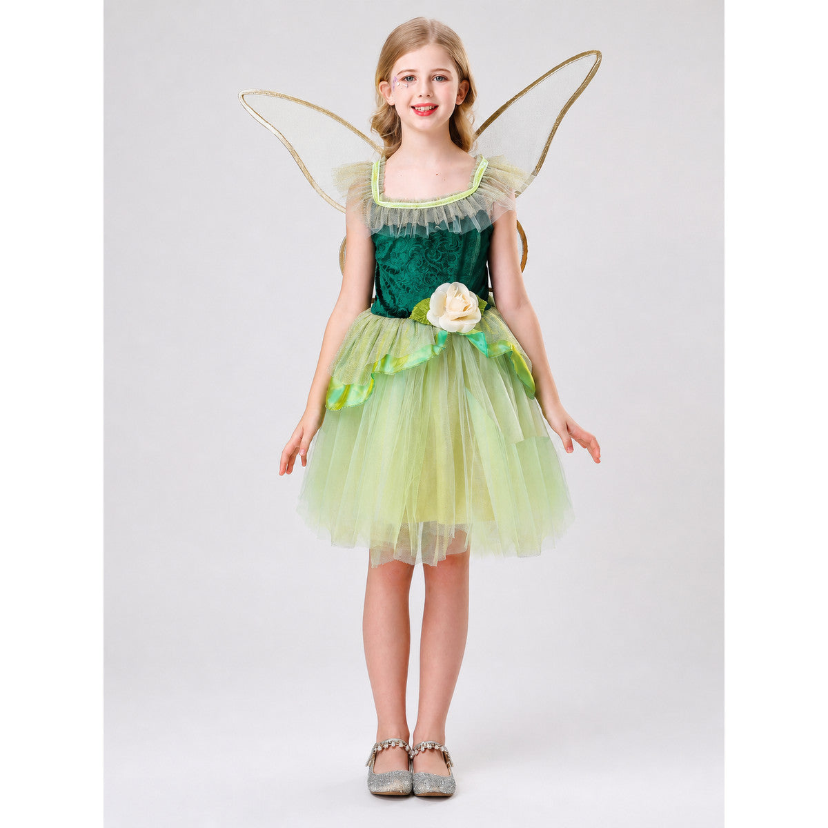 Fairy Costume with Wings and a Full Skirt