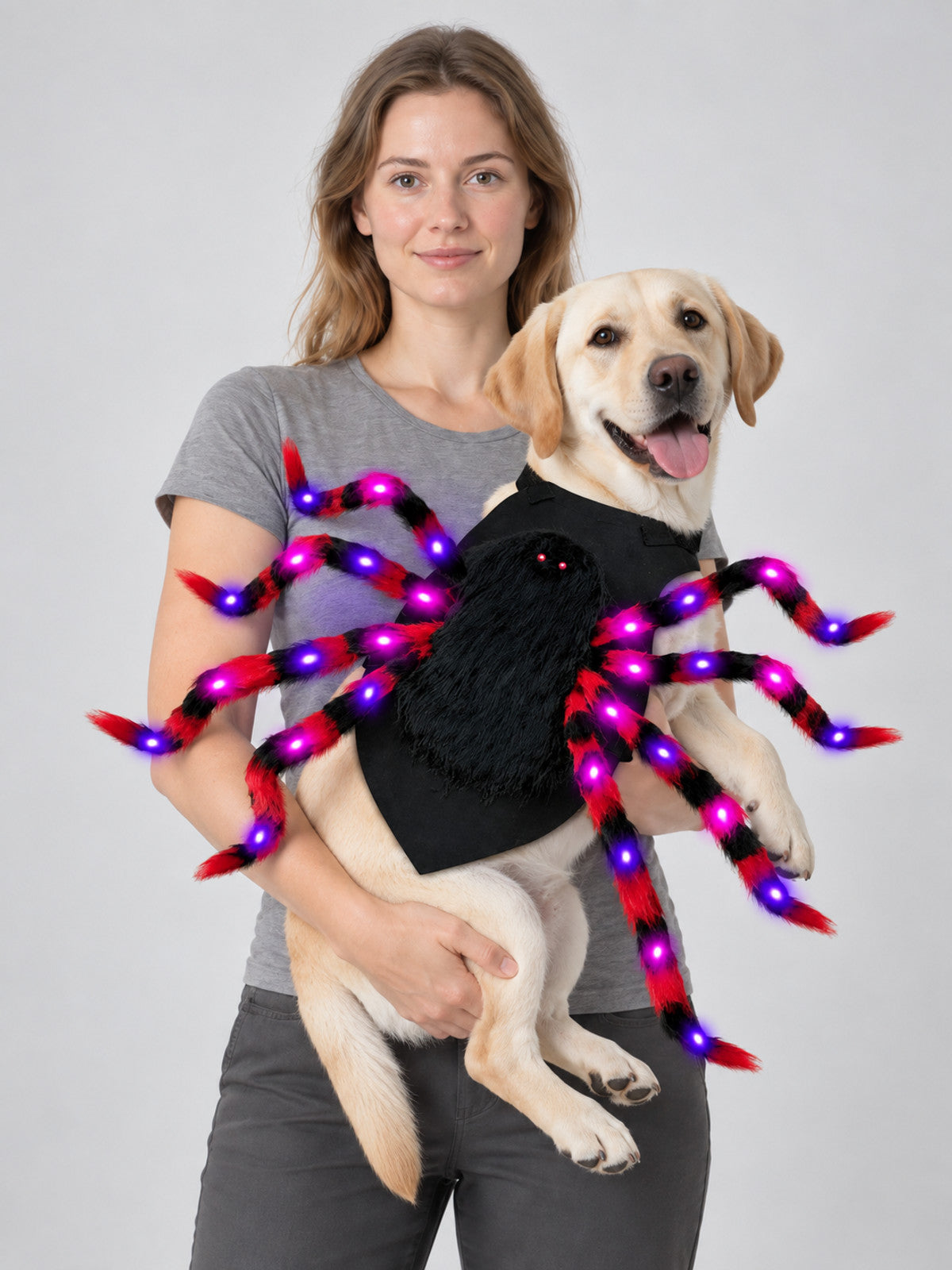 Spider Costume for Dogs with Purple Lights