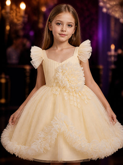Baby Girls' Champagne Princess Flower Girl Dress, Ruffled Floral Embroidery Gown on-model view