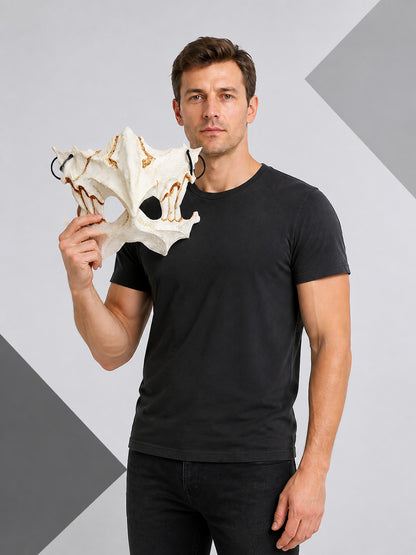 Carnival Skull Mask with Bones for Halloween and Cosplay
