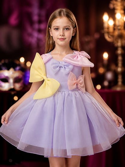 Toddler Girls' Princess Formal Dress, Sleeveless Layered Tulle Skirt With Large on-model view