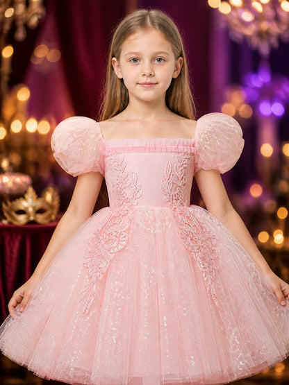 Toddler Girls' Sequined Embroidered Tulle Princess Dress on-model view