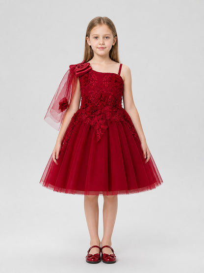 Burgundy Full Tutu Dress with Roses and Mesh Skirt on-model view