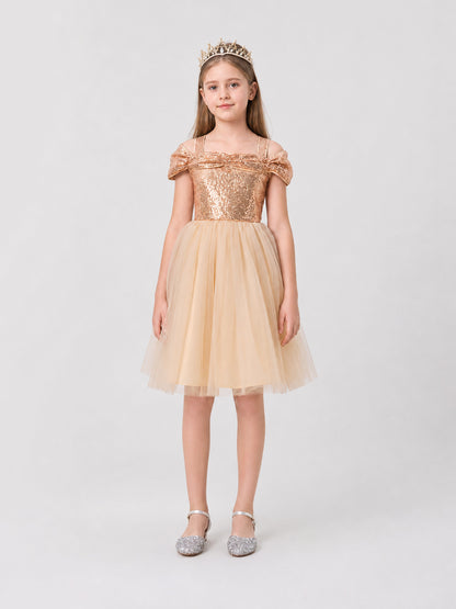 Princess Dress with Sequins, Full Skirt, and Tulle